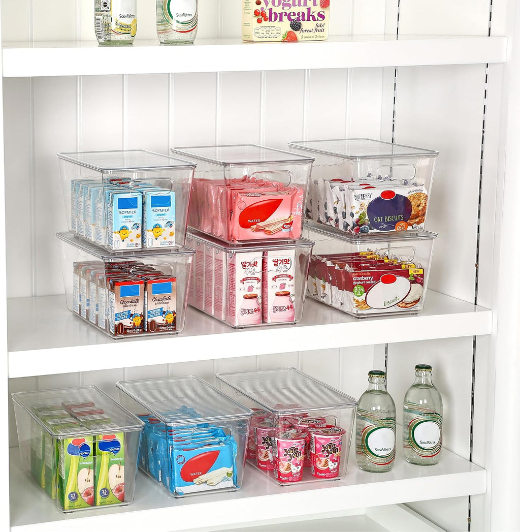 6 Pack Medium Clear Storage Bins