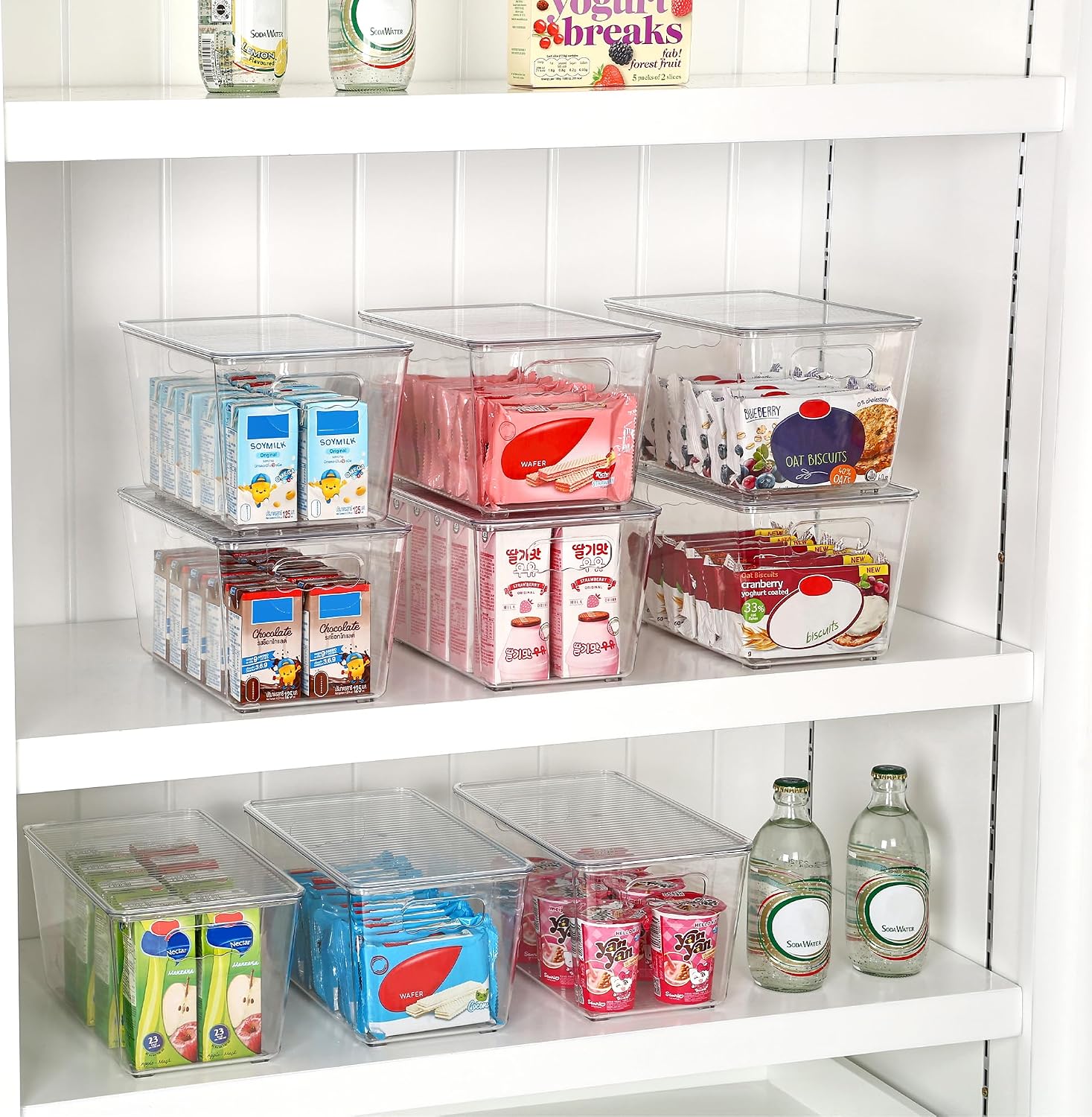 6 Pack Medium Clear Storage Bins